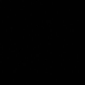 Meet your Posher, Aleece